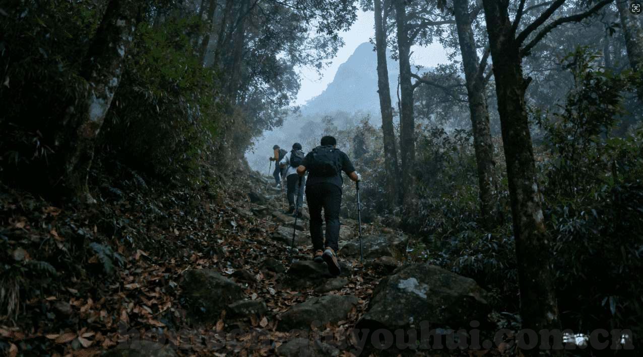 澳彩网站49.соm-揭秘澳彩网站49.coM，理性投注与网络安全的重要性
