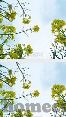 也门足球比赛比分-也门足球，绿茵场上的热血与希望——从一场比分看也门足球的崛起之路